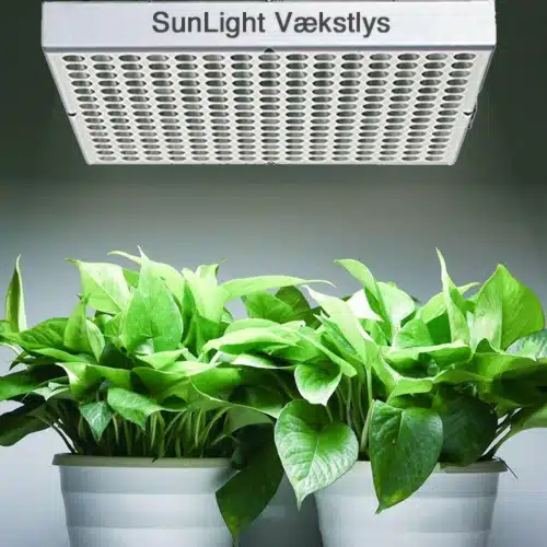 Vækstlys over planter sunlight panel