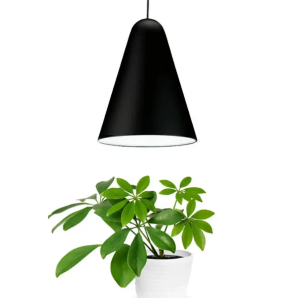 Plant sprout pendant with 5000-6500K white LED light