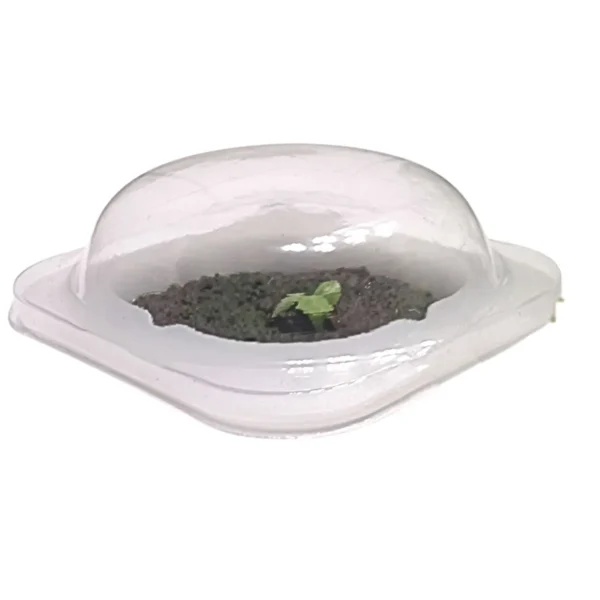 ecoo Grower seed dome