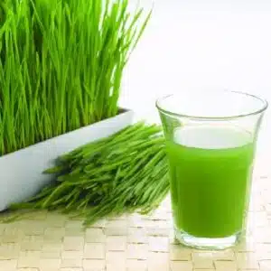 Wheatgrass seeds, Organic for microgreens