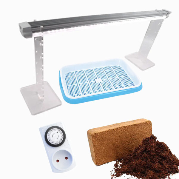 Microgreen small starter pack, light, tray, clock, growing media