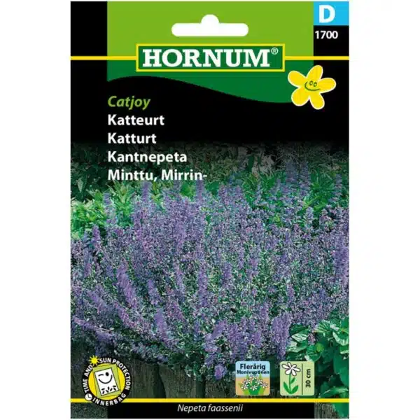 Catnip – catjoy, seeds – Catnip (D) Hornum