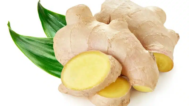 Grow ginger root