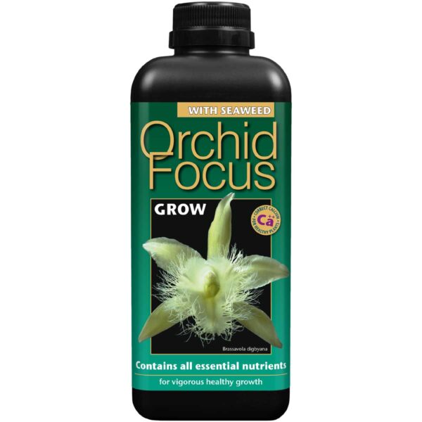 Orchid Focus Grow – orchid fertilizer 1L