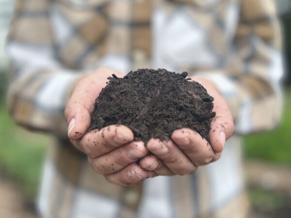 Compost from willow