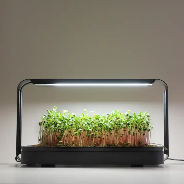 Microgreen Garden med mikrogrønnsaker og vekstlys