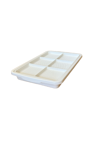 Germination tray for Microgreens with 6 compartments